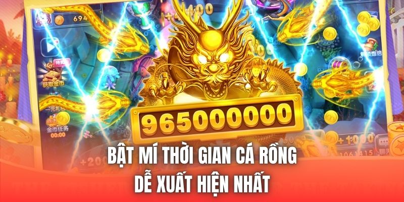 Bật mí thời gian cá rồng dễ xuất hiện nhất